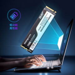 金泰克固态硬盘 TP3000 256G M.2 NVME Pcle3.0 南京仓发货 (20389)