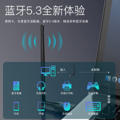 翼联 EP-AX900 双频900M速率 WiFi6+蓝牙5.3 无线网卡 (20880)