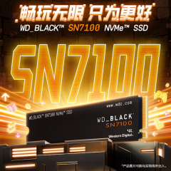 西部数据固态硬盘 SN7100 500G NVME M.2接口 PCIe4.0 (20759)