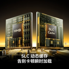 雷克沙固态硬盘 THOR PRO 雷神 2T  M.2接口 NVMe协议 PCIe 4.0 (20935)