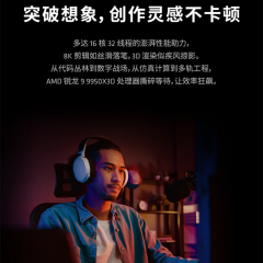 AMD 锐龙9处理器 9950X3D AM5 5.7G 散片 不带风扇散片 (21157)