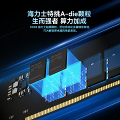 佰维台式机内存 DW100 D5 32G 6000 黑色 套条 ARGB灯条 16G*2  C28  (21101)