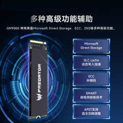 宏碁固态硬盘 GM9000 1T NVMe PCIe 5.0 (21120)