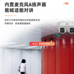 【海康】摄像头DS-2CD1Q445-LT /双路400万对讲半球/POE