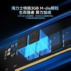 佰维台式机内存 时空行者 DW100 DDR5 48G 6000 套条 24G*2 炫光 C28 (21490)