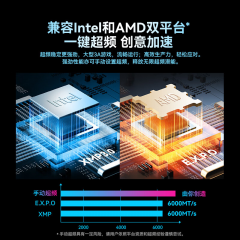 佰维台式机内存 时空行者 DW100 DDR5 48G 6000 套条 24G*2 炫光 C28 (21490)