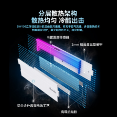 佰维台式机内存 时空行者 DW100 DDR5 48G 6000 套条 24G*2 炫光 C28 (21490)