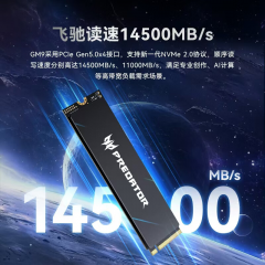宏碁固态硬盘 掠夺者 GM9 1T M.2 NVMe PCIe 5.0 (21745)
