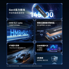 宏碁固态硬盘 掠夺者 GM9 1T M.2 NVMe PCIe 5.0 (21745)