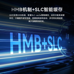 宏碁固态硬盘 掠夺者 GM9 1T M.2 NVMe PCIe 5.0 (21745)