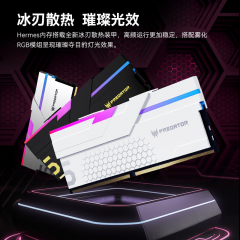 宏碁台式机内存 冰刃 DDR5 48G 6000 套条 黑色 RGB灯条 C28 (21492)