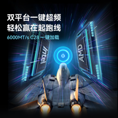 佰维台式机内存 DDR5 HX100 32G 6000 套条 16G*2 星光银 C28 (22080)