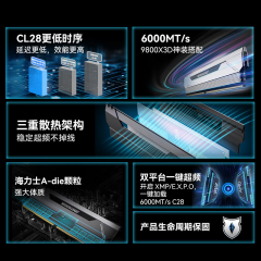 佰维台式机内存 DDR5 HX100 32G 6000 套条 16G*2 星光银 C28 (22080)