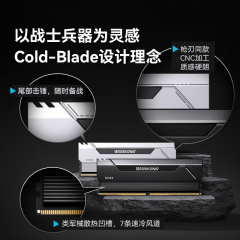 佰维台式机内存 DDR5 HX100 32G 6000 套条 16G*2 星光银 C28 (22080)