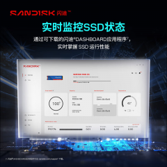 西部数据固态硬盘 SN5100 1T 蓝盘 NVMe M.2 PCle4 (22229)