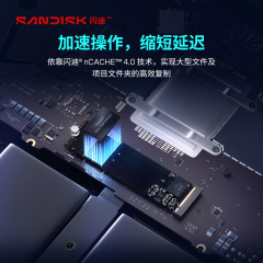 西部数据固态硬盘 SN5100 1T 蓝盘 NVMe M.2 PCle4 (22229)